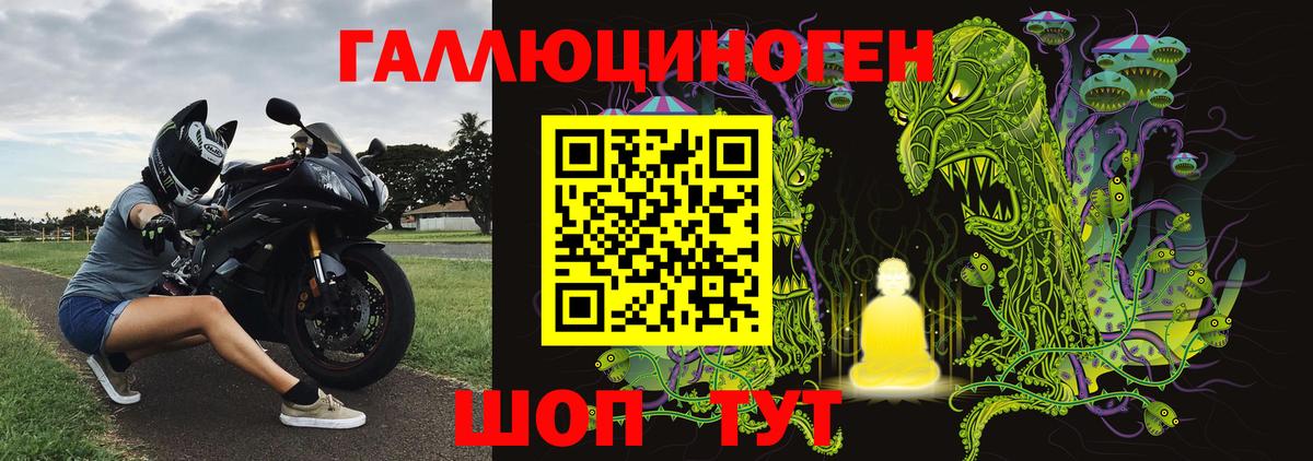 Галлюциногенные грибы Psilocybe Нефтеюганск